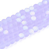 Frosted Transparent Glass Beads Strands GLAA-T032-T4mm-MBB01-1