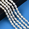 Natural Cultured Freshwater Pearl Beads Strands PEAR-N012-05D-6