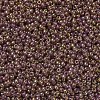MIYUKI Round Rocailles Beads SEED-G007-RR0301-4