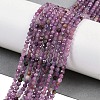 Natural Ruby Beads Strands G-H081-B01-01-2