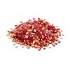 Plastic Sequins Beads PVC-R024-06B-2