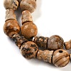 Natural Picture Jasper 3-Hole Guru Beads Strands G-H064-E06-01-4