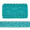 Elastic Lace Trim OCOR-WH0104-05-1