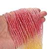 Transparent Painted Glass Beads Strands DGLA-A034-T1mm-A07-2