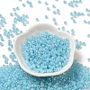 Glass Seed Beads SEED-H002-H-1303-2