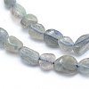 Natural Labradorite Beads Strands G-L550A-06-2