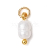 Natural Cultured Freshwater Pearl Potato Charms with Brass Jump Rings PALLOY-JF04176-01-3