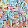 Cartoon Opaque Resin Cabochons X-RESI-C039-03C-2