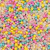 Opaque Colours Luster Glass Seed Beads SEED-A030-09D-2