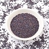 MIYUKI Delica Beads SEED-J020-DB0884-2