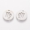 Non-Tarnish 304 Stainless Steel Charms STAS-Q201-T095-6-2