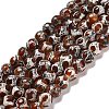 Natural Tibetan Turtle Back Pattern dZi Agate Beads Strands G-B079-A02-02-1