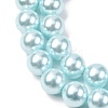 Electroplated Shell Pearl Beads Strands BSHE-G041-8mm-03-3