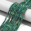 Natural Chrysocolla Beads Strands G-P514-A03-02-01-2