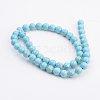 Natural Magnesite Beads Strands TURQ-P027-28-2