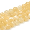 Natural Topaz Jade Beads Strands G-G829-04-8mm-1