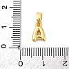 Rack Plating Brass Charms KK-C053-04G-A-3