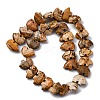 Natural Picture Jasper Beads Strands G-F783-G03-01-6