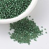 MIYUKI Delica Beads SEED-X0054-DB0605-1