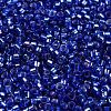 Glass Seed Beads SEED-S042-04A-14-3