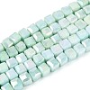 Anti-Tarnish Electroplate Glass Beads Strands GLAA-T025-4mm-10B-1