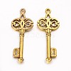 Tibetan Style Alloy Pendants GLF0678Y-2