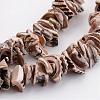 Natural Shell Bead Strands BSHE-P010-07-3