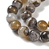 Natural Agate Beads Strands G-M437-B01-01M-4