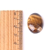 Natural Tiger Eye Cabochons PW-WGEFD9A-05-3