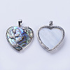 Abalone Shell/Paua Shell Pendants SSHEL-L008-01P-3