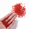 Glass Seed Beads X2-SEED-A004-3mm-5-4