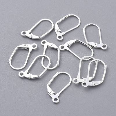 304 Stainless Steel Leverback Earring Findings STAS-K210-28S-1