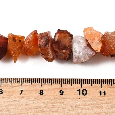 Natural Carnelian Beads Strands G-I283-F18-1