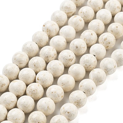 Natural Fossil Beads Strands G-H026-02C-1