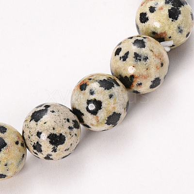 Natural Dalmatian Jasper Beaded Stretch Bracelets BJEW-Q692-51-8mm-1