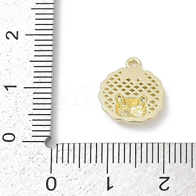 Alloy Enamel Charms PALLOY-R151-22G-1