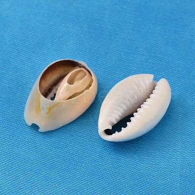 Natural Cowrie Shell Beads X-BSHE-S052-1