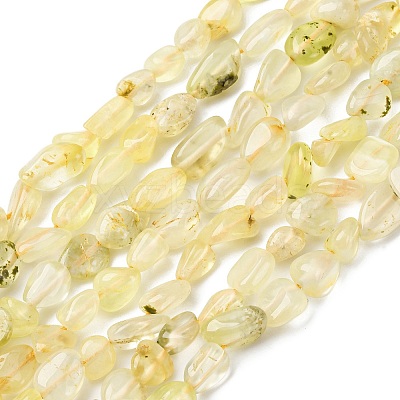 Natural Gold Prehnite Beads Strands G-K395-A07-01-1