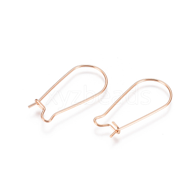 304 Stainless Steel Hoop Earring Findings STAS-E484-66B-RG-1