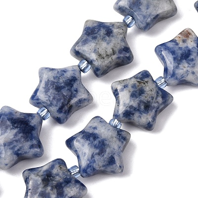 Natural Blue Spot Jasper Beads Strands G-K359-E11-1