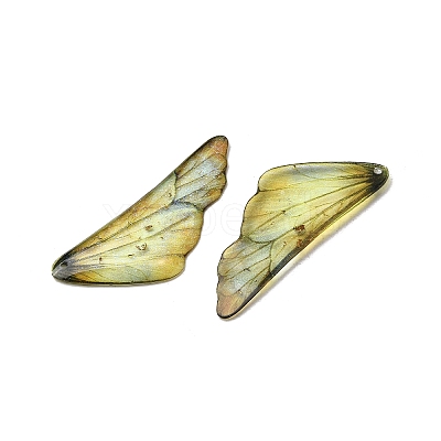 2Pcs Transparent Epoxy Resin Pendants RESI-A044-04C-1