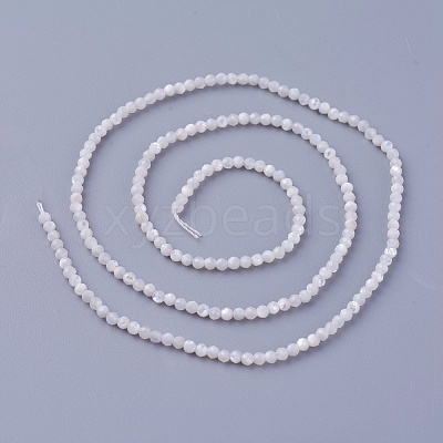 Shell Beads Strands SSHEL-E571-38-2mm-1
