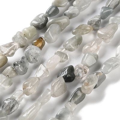 Natural Eagle Eye Stone Beads Strands G-P497-01C-14-1