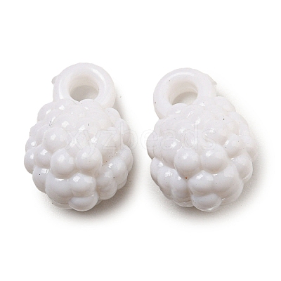 Opaque Acrylic Pendants SACR-L007-049A-1