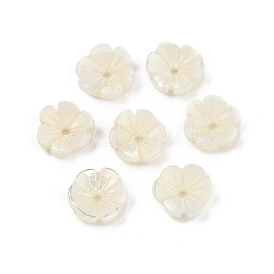 Natural Trochus Shell Flower Charms SHEL-K006-46A-1