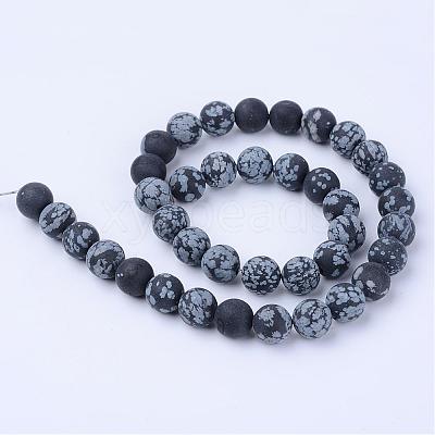 Natural Snowflake Obsidian Beads Strands G-Q462-10mm-10-1