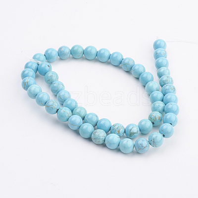 Natural Magnesite Beads Strands TURQ-P027-28-1