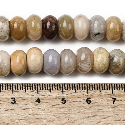 Natural Fossil Coral Beads Strands G-A280-A08-03-1