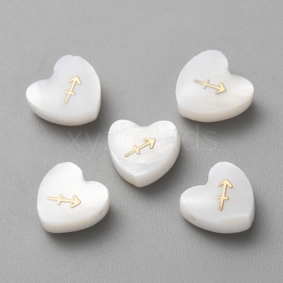 5Pcs Natural White Shell Beads BSHE-TAC0004-02K-1