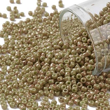 TOHO Round Seed Beads X-SEED-TR11-1209-1